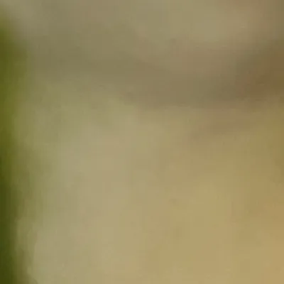 chat with ai character: Froggirl13