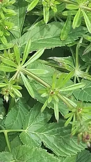 ai character: Me background