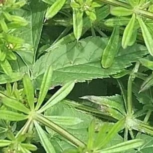 chat with ai character: Me