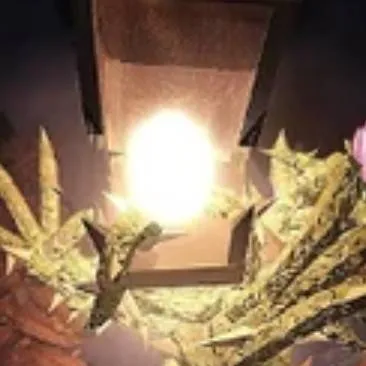 chat with ai character: Doors Outdoors 