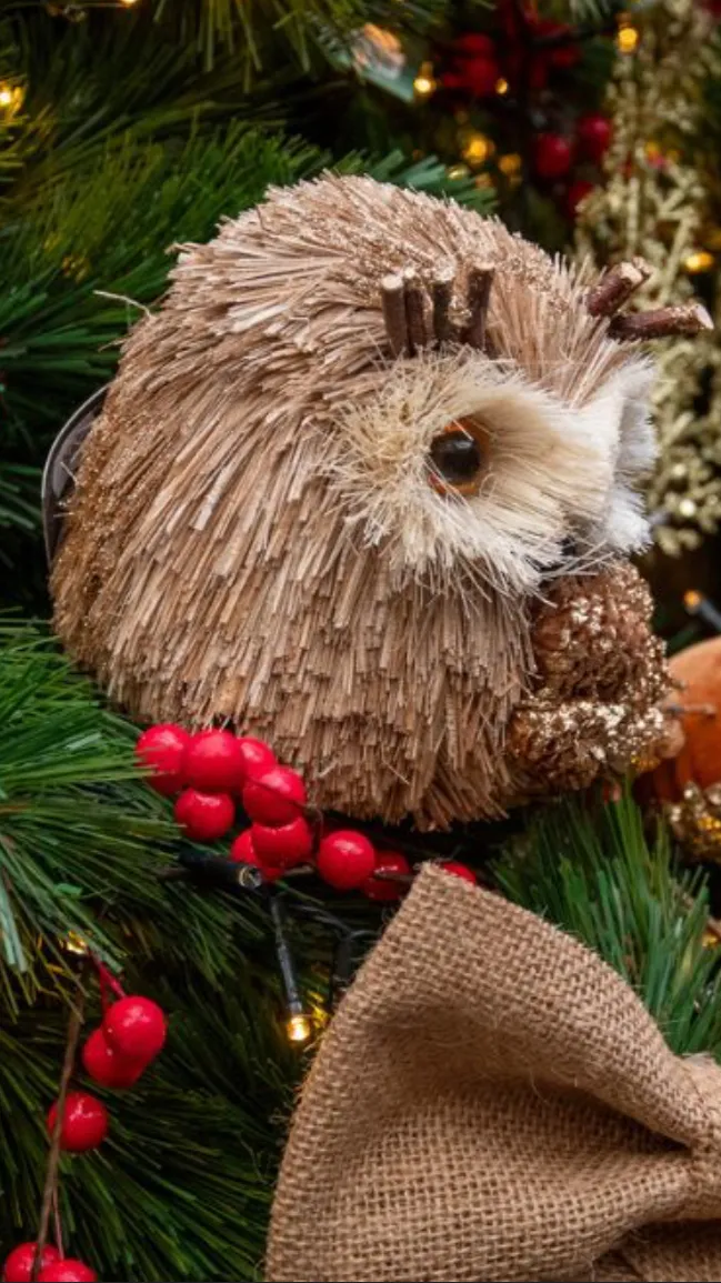 ai character: Hibou  background
