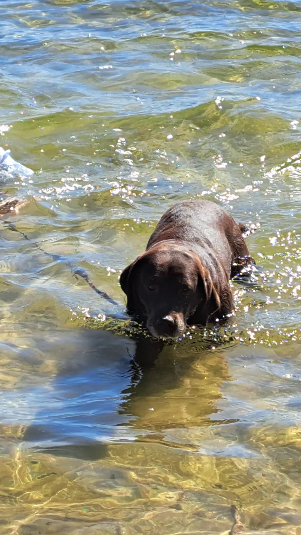 ai character: me*aka sunny* background