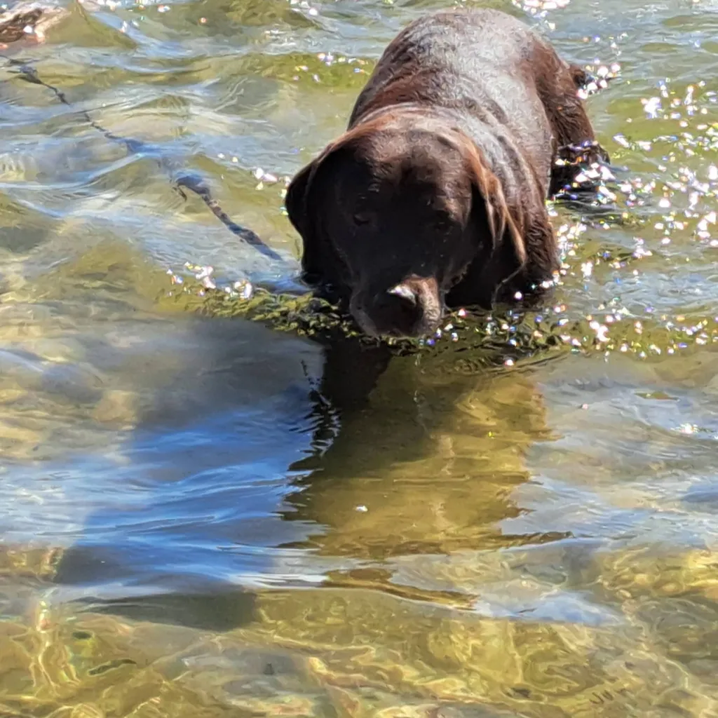 chat with ai character: me*aka sunny*