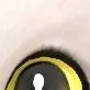 chat with ai character: eevees sleep time!