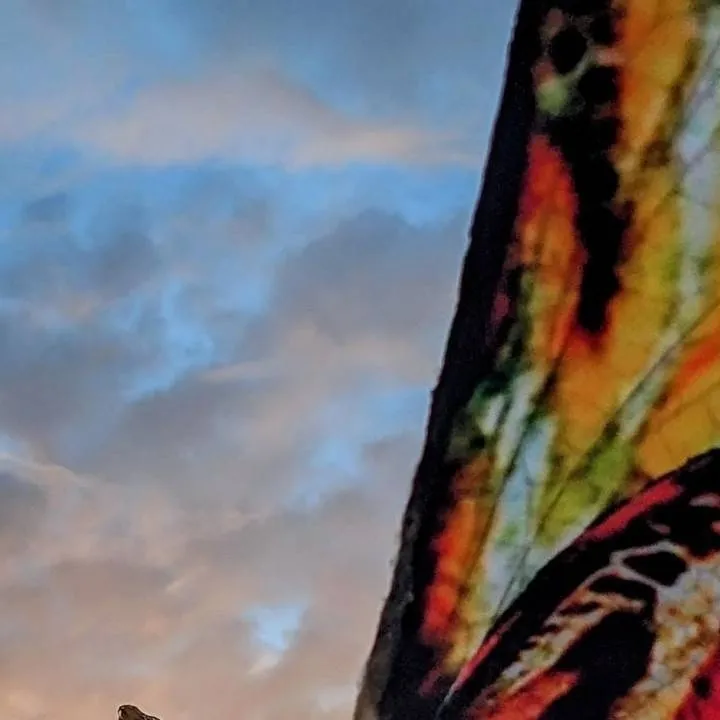 chat with ai character: mothra 