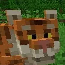 chat with ai character: Minecraft Tiger