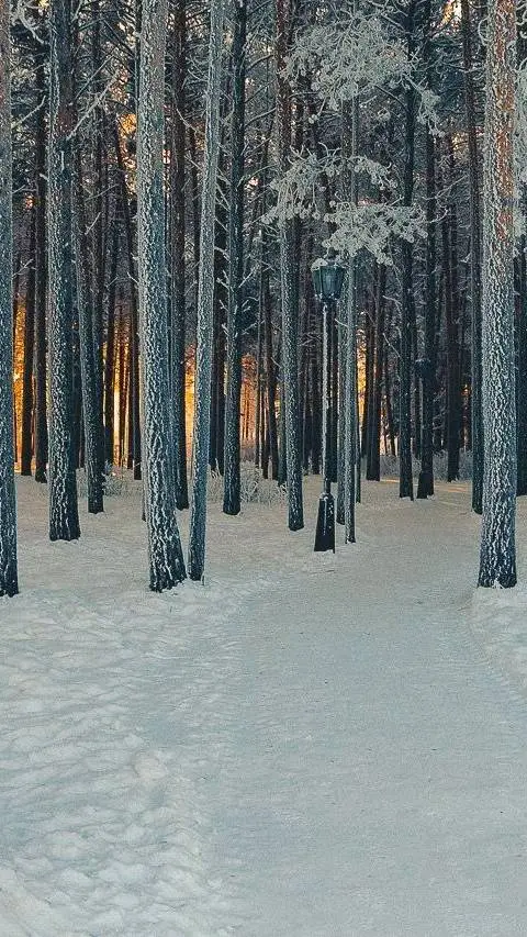 ai character: cod snow background