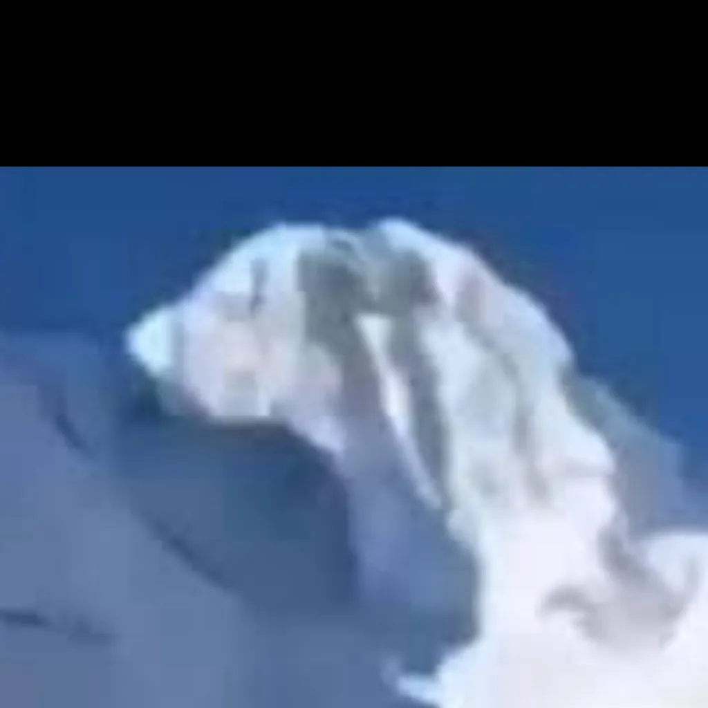 chat with ai character: Fpe GOES..CAMPING!