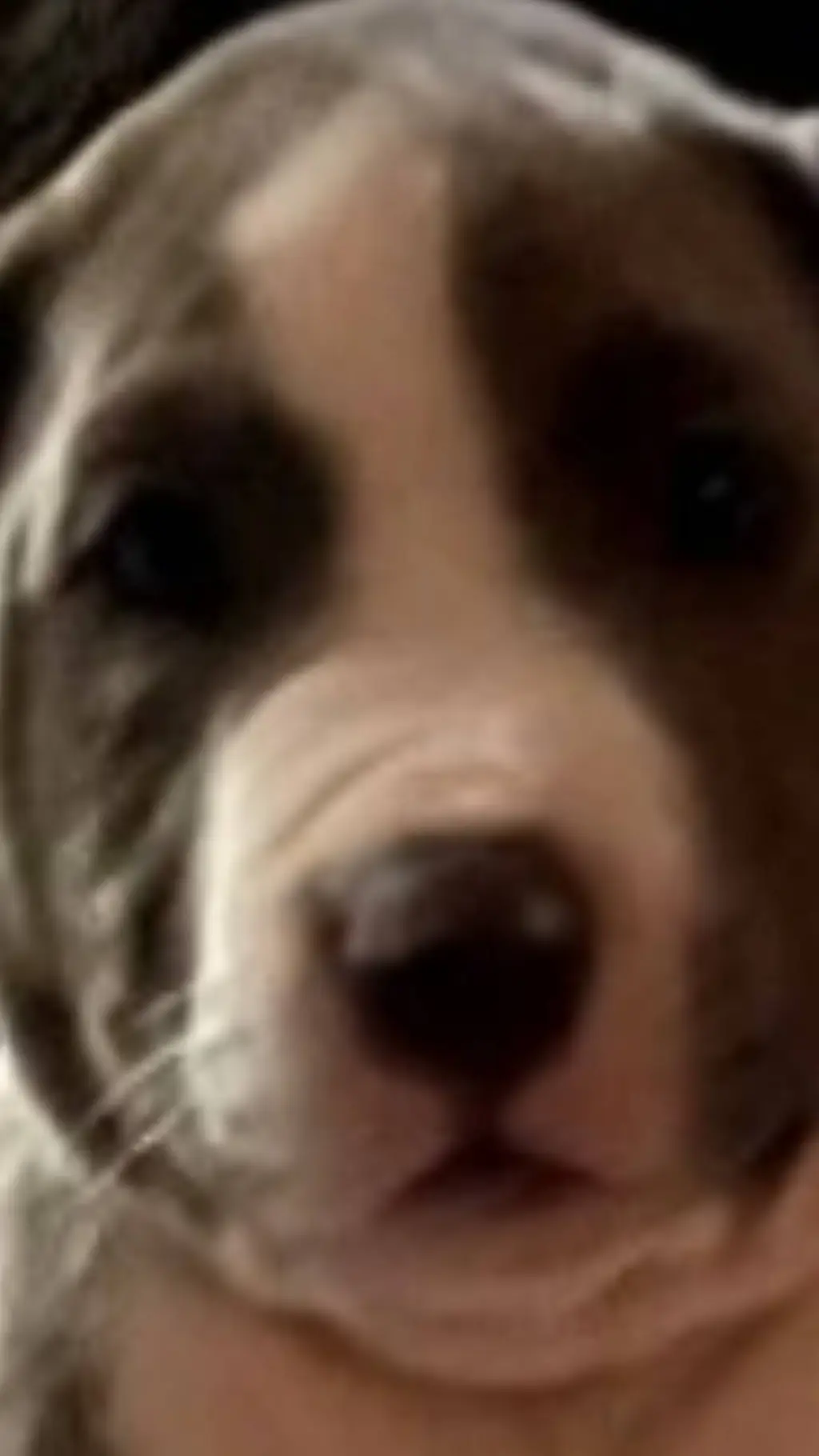 ai character: Georgie. background