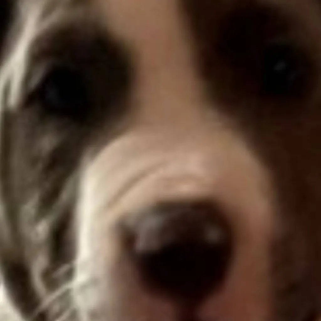 chat with ai character: Georgie.