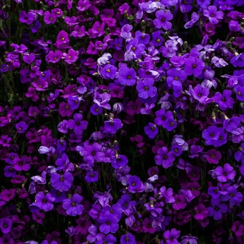 chat with ai character: MHA GIRLS NIGHT