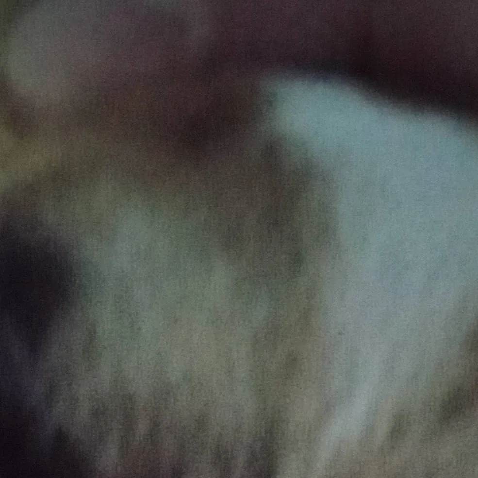chat with ai character: my dog tonto