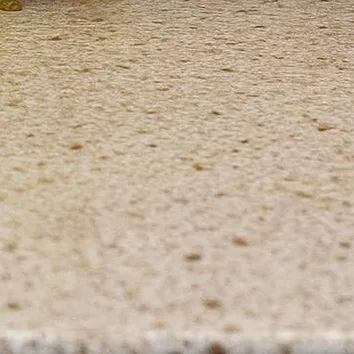 chat with ai character: frog fruit-trio