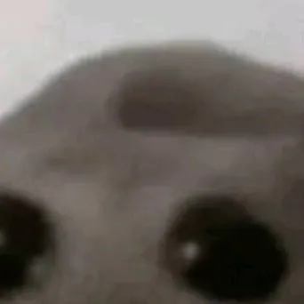 chat with ai character: me sad