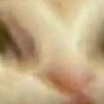 chat with ai character: Gatito