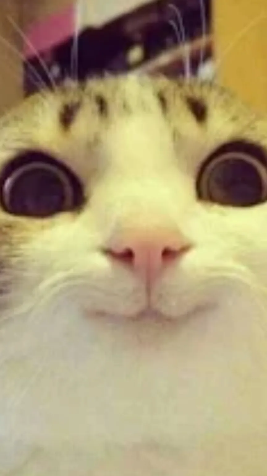 ai character: Cat background