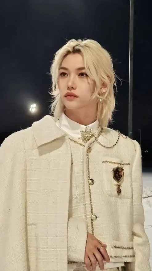 ai character: Straykids live background