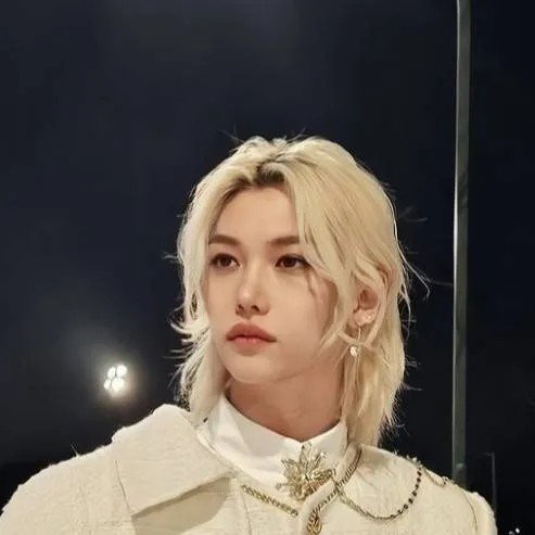 chat with ai character: Straykids live