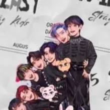 chat with ai character: Skz