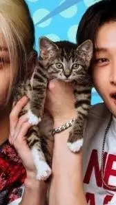 ai character: Straykids  background