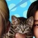 chat with ai character: Straykids 