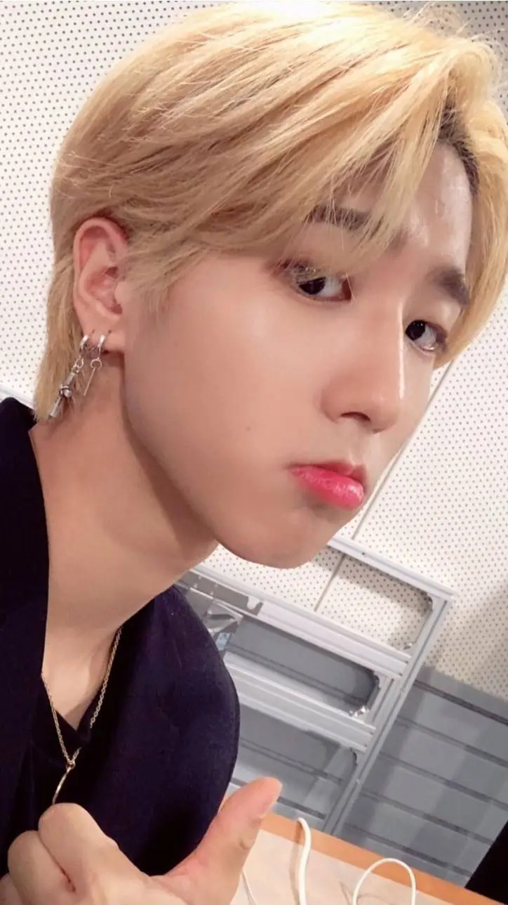 ai character: Han Jisung background