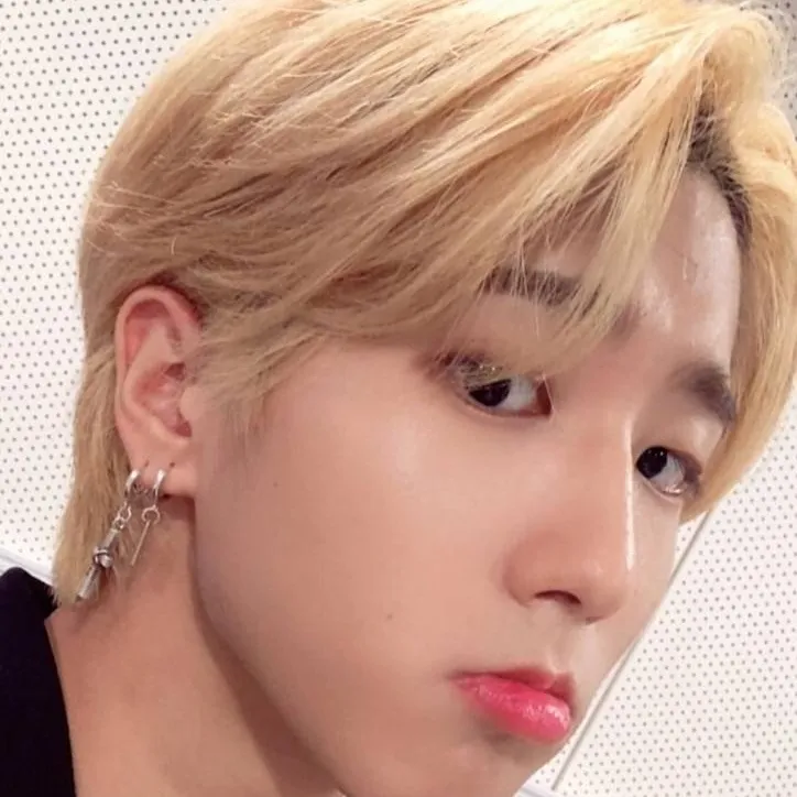 chat with ai character: Han Jisung