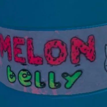 chat with ai character: Melon Belly