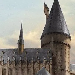 chat with ai character: Hogwarts Duelling