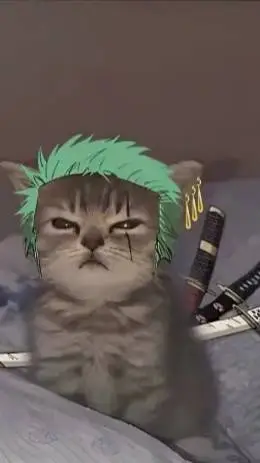 ai character: One Piece background