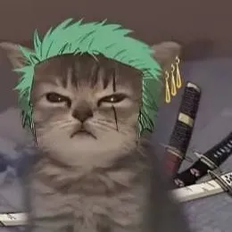 chat with ai character: One Piece