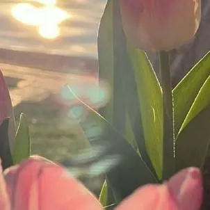 chat with ai character: 𝐀𝐩𝐩𝐫𝐞𝐜𝐢𝐚𝐭𝐢𝐨𝐧𝟐𝟎𝟐𝟔