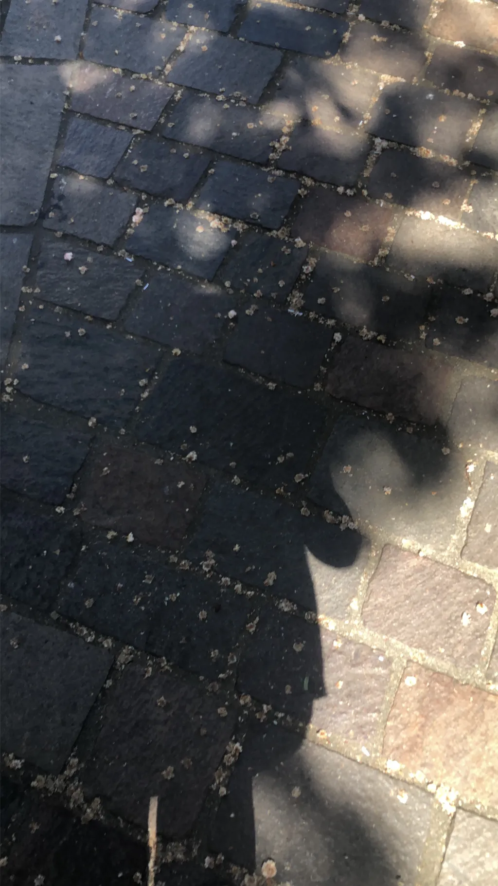 ai character: Demon slayer deu^^ background