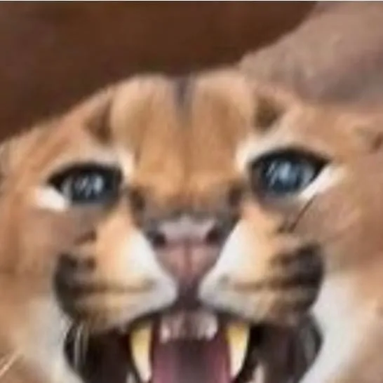 chat with ai character: pumba