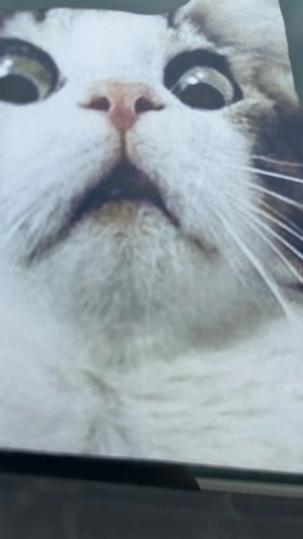 ai character: CAT background