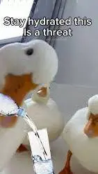ai character: Duck:3 background