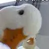 chat with ai character: Duck:3