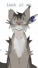 ai character: Jayfeather  background