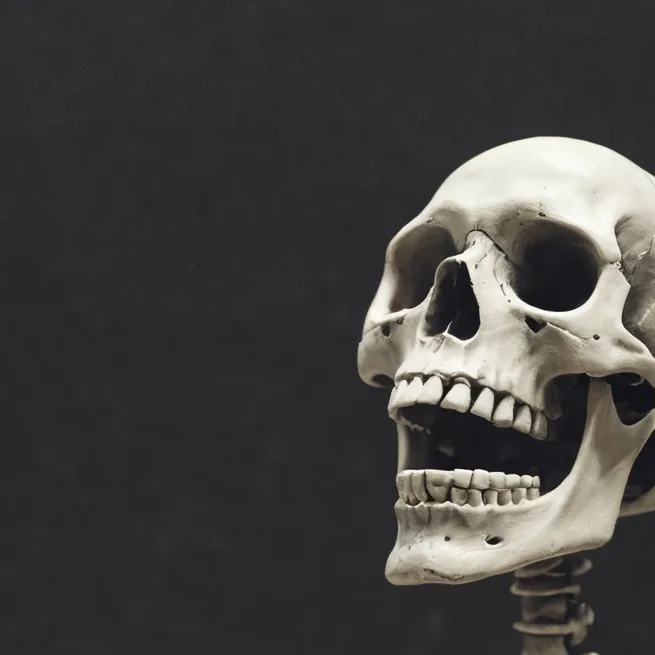 chat with ai character: Steven Skelly 