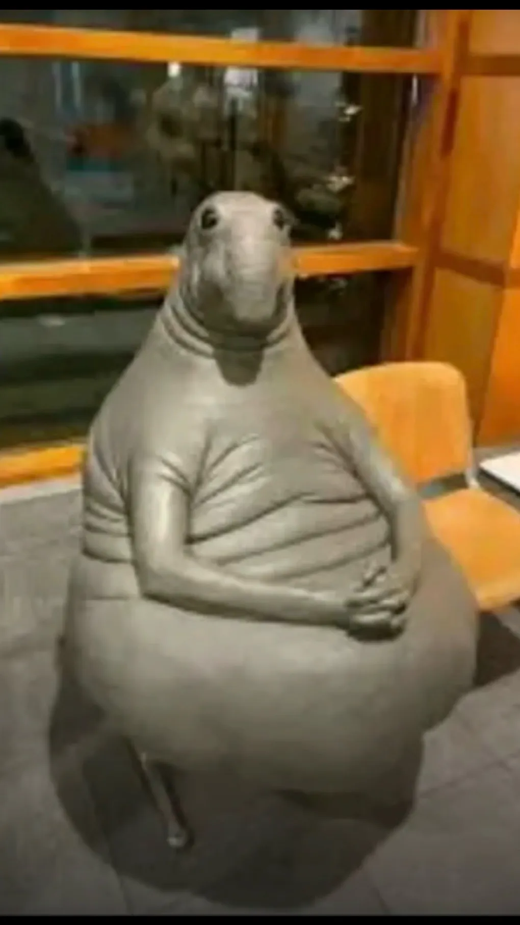 ai character: IM BACK✨✨✨✨ background