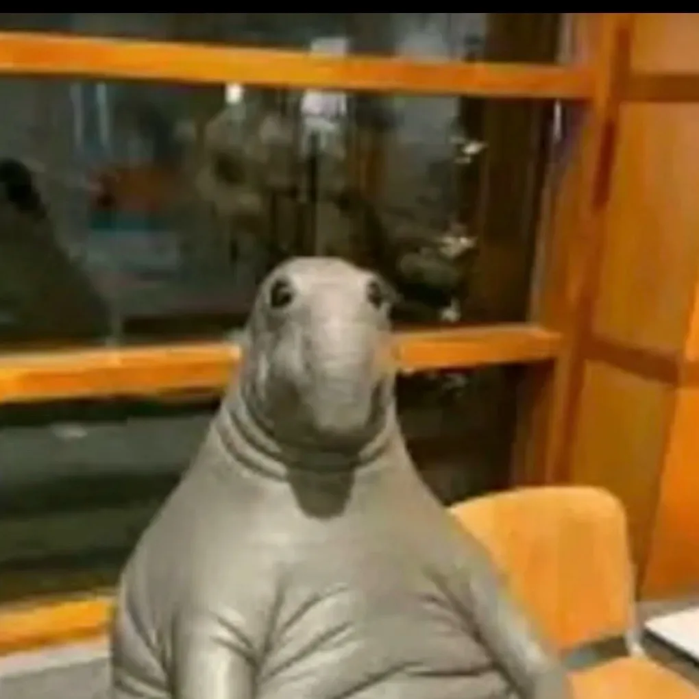 chat with ai character: IM BACK✨✨✨✨