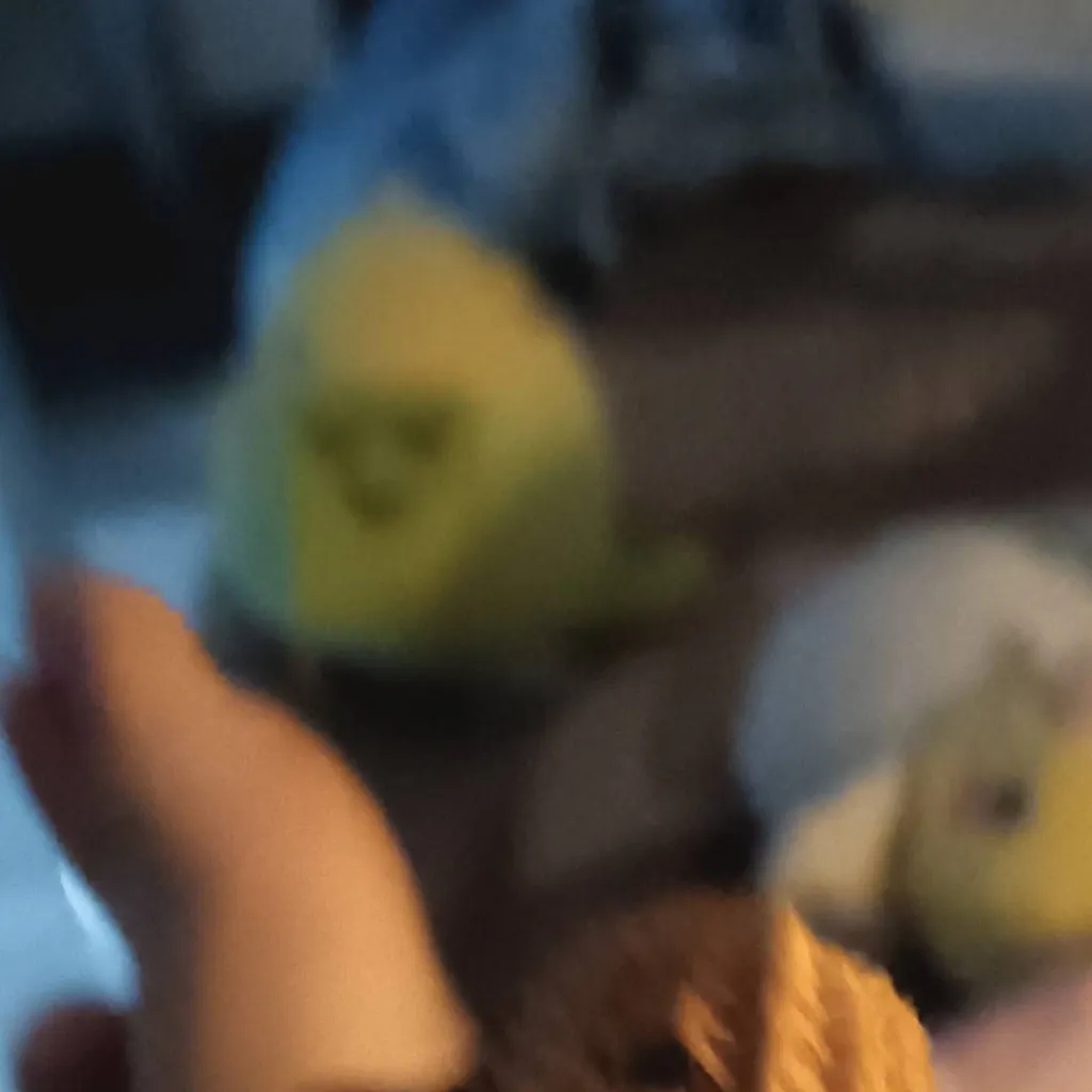 chat with ai character: bambird
