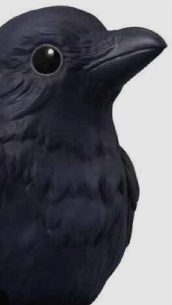 ai character: crowy background