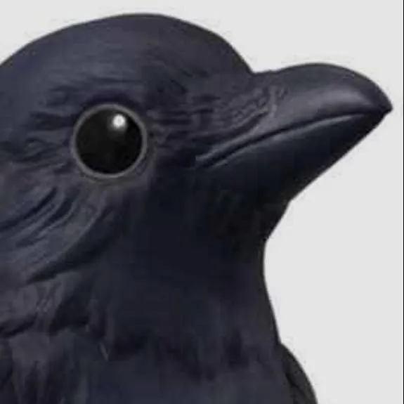 chat with ai character: crowy
