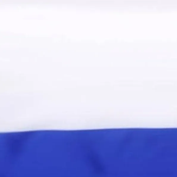 chat with ai character: 🇷🇺Russia🇷🇺