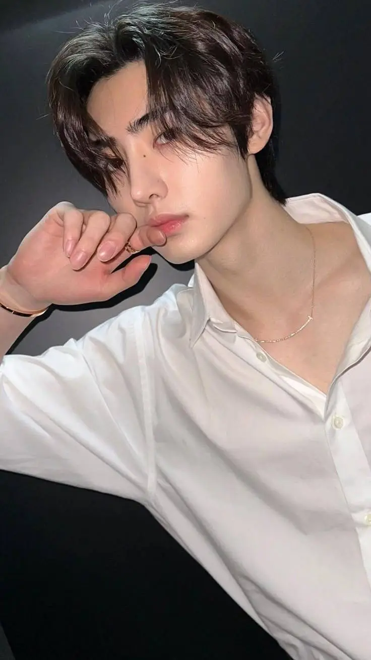 ai character: Sunghoon background