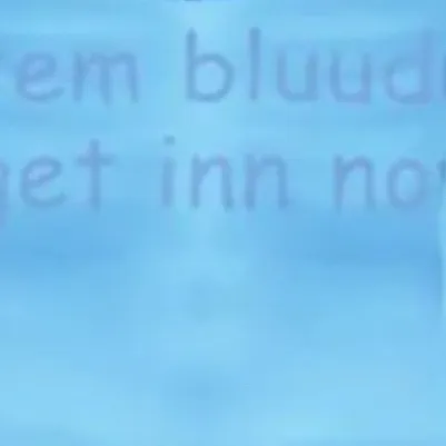 chat with ai character: Bluudud