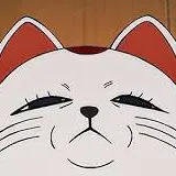 chat with ai character: turbo granny(cat)