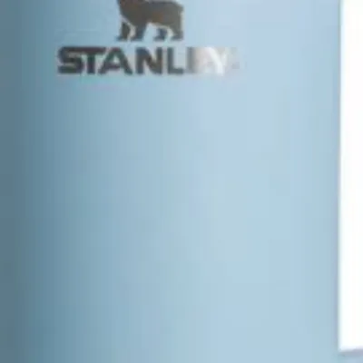 chat with ai character:  Stanley cup 6
