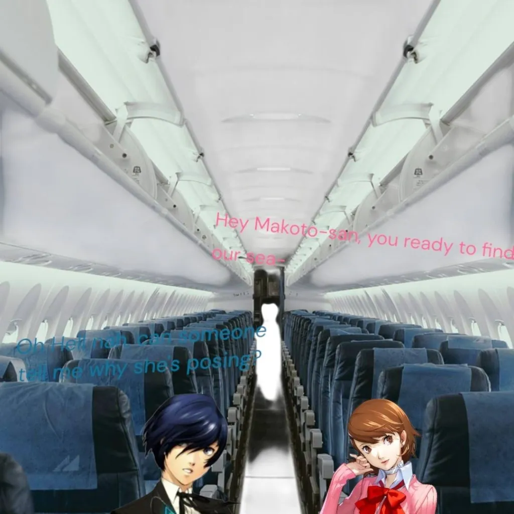 chat with ai character: S.E.E.S Plane Ride